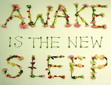awake is the new sleep