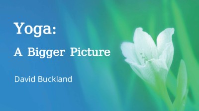 Yoga, A Bigger Picture