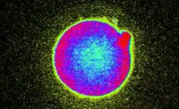 The Light of Conception